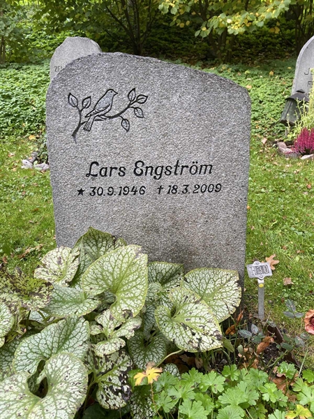 Gravnummer: 1 H    30