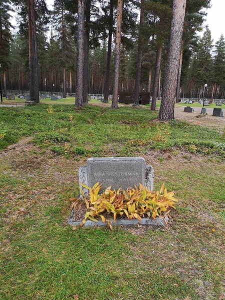 Hautatunnus: VLM 07    12:1-2