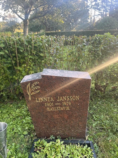 Grave number: HVRÖ IV 05     2