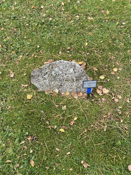 Hautatunnus: 2 C   337