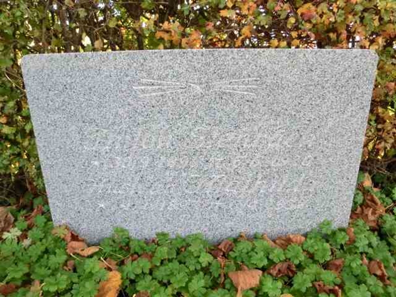 Grave number: ÖK G 6    003