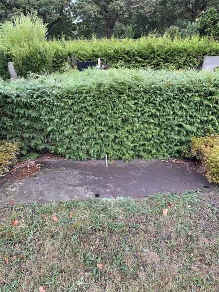 Grave number: NK XIV    92