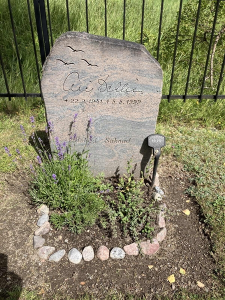 Grave number: 1 15   217