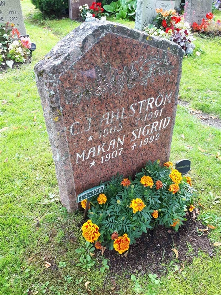 Gravnummer: GK U 4   175