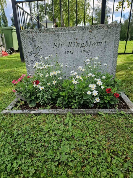 Grave number: 451 05 114-115