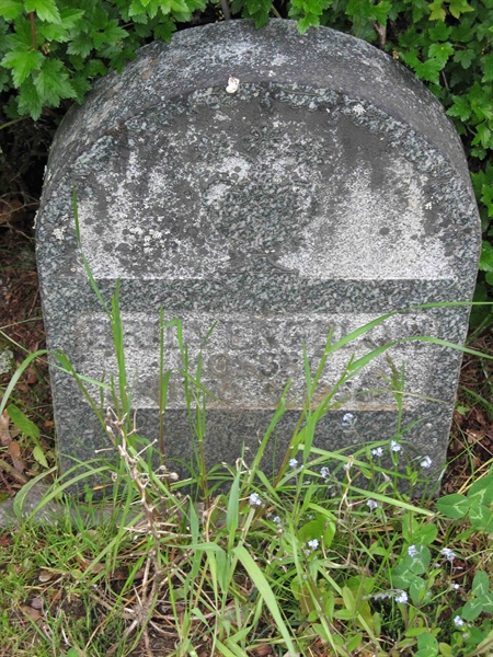 Grave number: A E   81