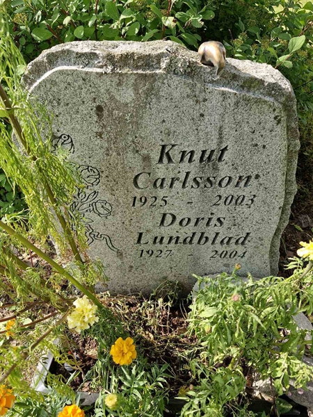 Grave number: AK D  6270