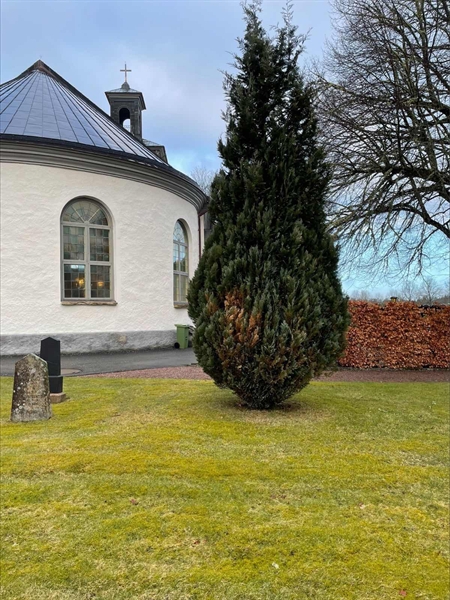 Hautatunnus: 1 G    12, 13, 14, 15