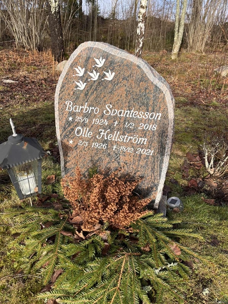 Hautatunnus: Ärt 96 38 50