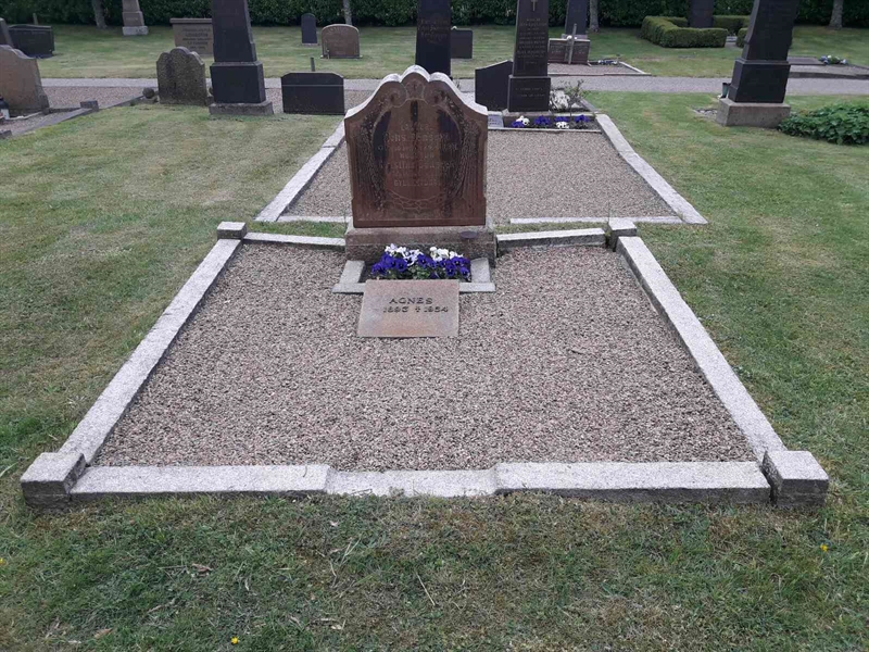 Grave number: TÖ 5   319