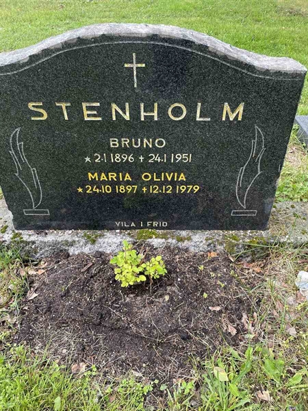 Gravnummer: N 4 3   334