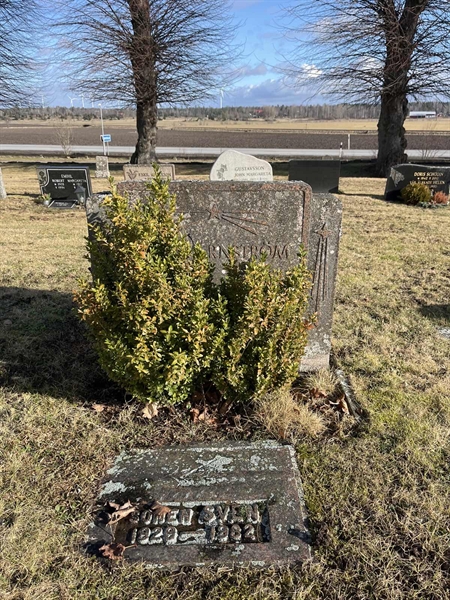 Gravnummer: HA N    49, 50