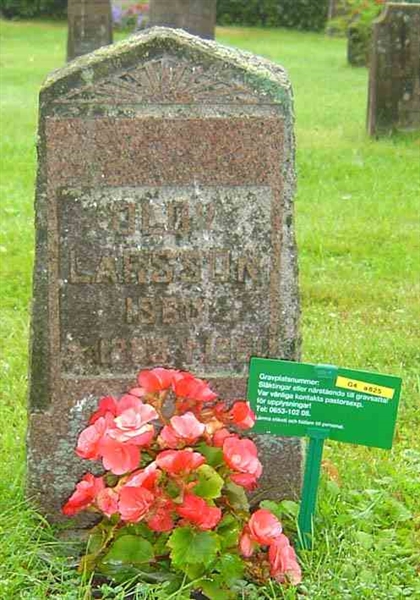 Grave number: D G 4   825a