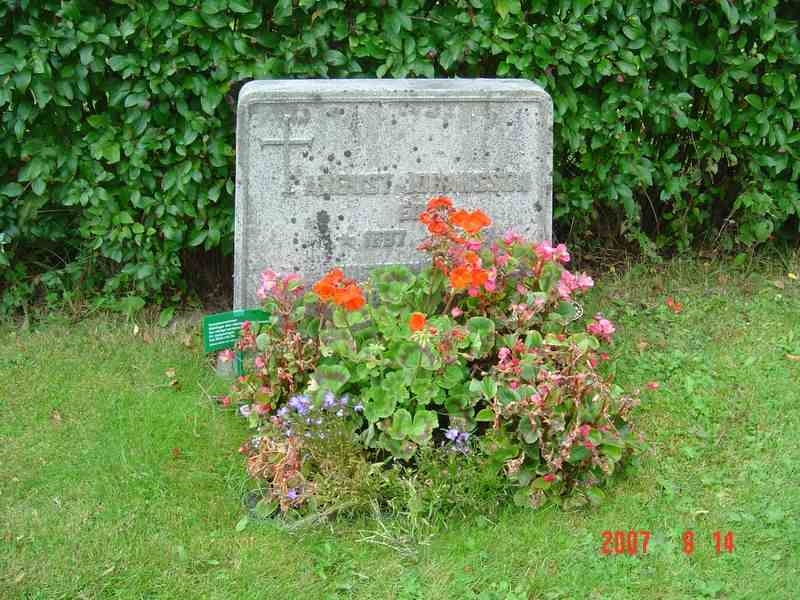 Grave number: D G 4   559