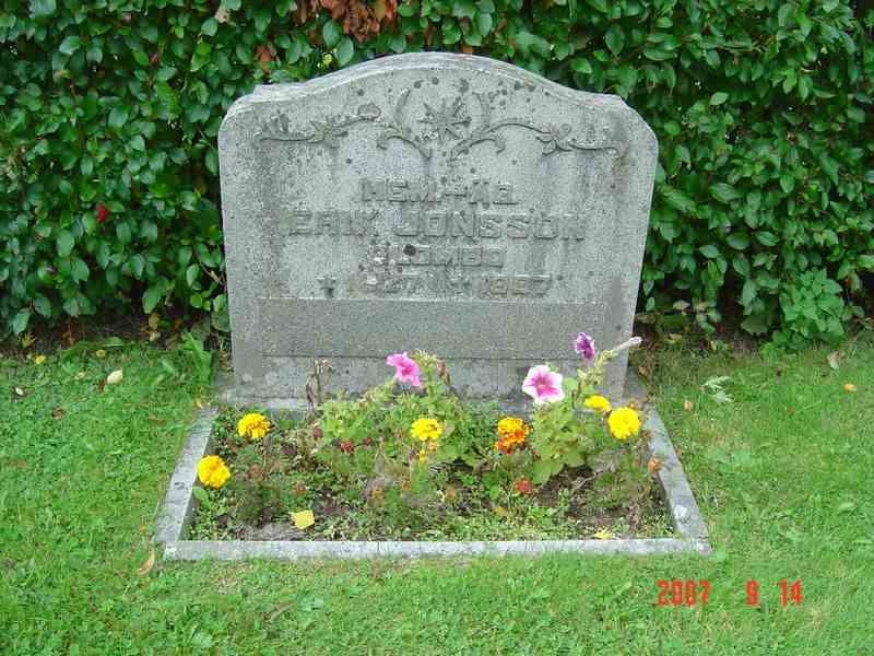 Grave number: D G 4   556