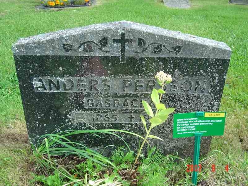 Grave number: D G 3   286a