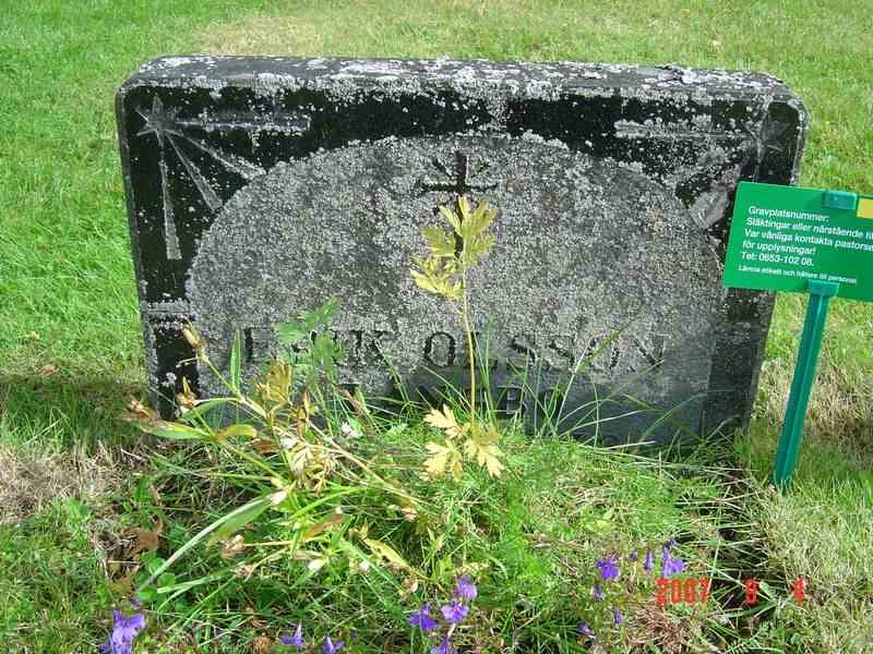 Grave number: D G 3   293a