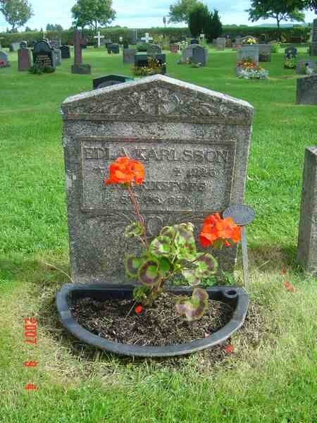 Grave number: D G 3   282a