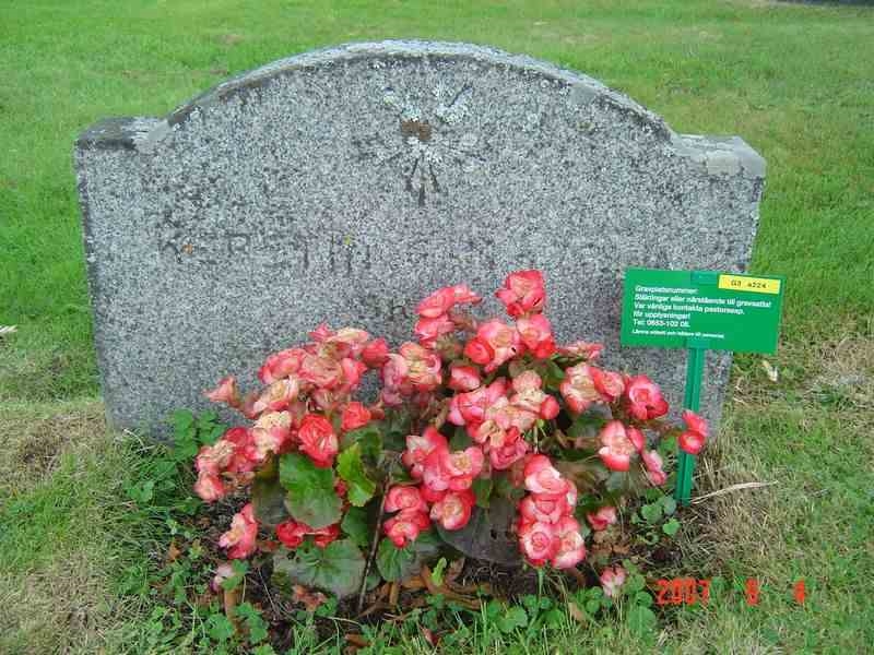 Grave number: D G 3   224a