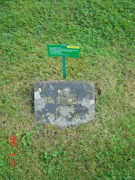 Grave number: D G 3   124a