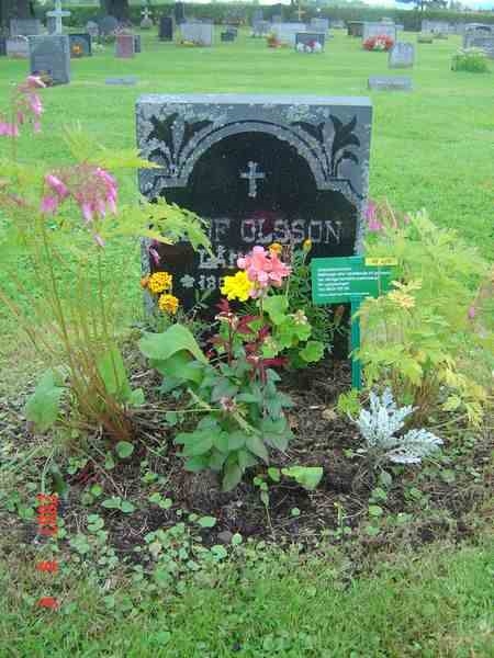 Grave number: D G 3   415a