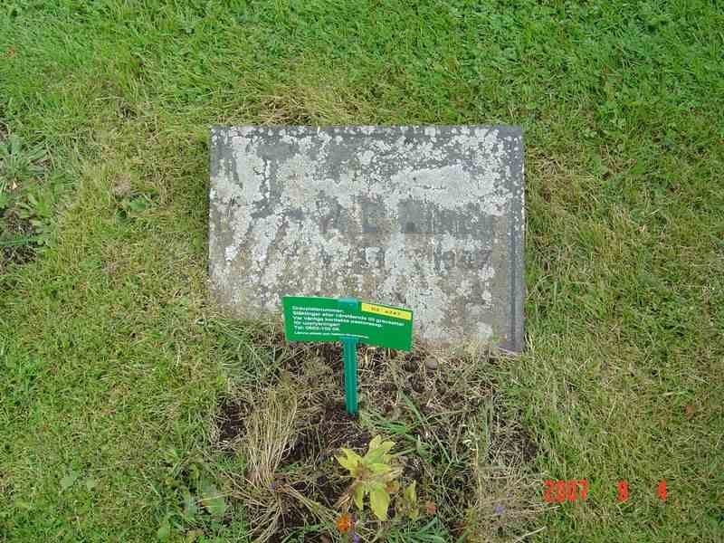 Grave number: D G 3   247a