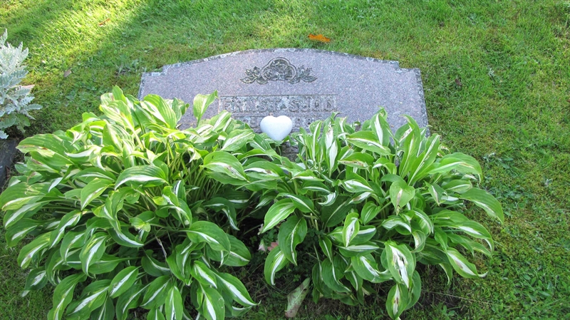 Grave number: HG MÅSEN   545