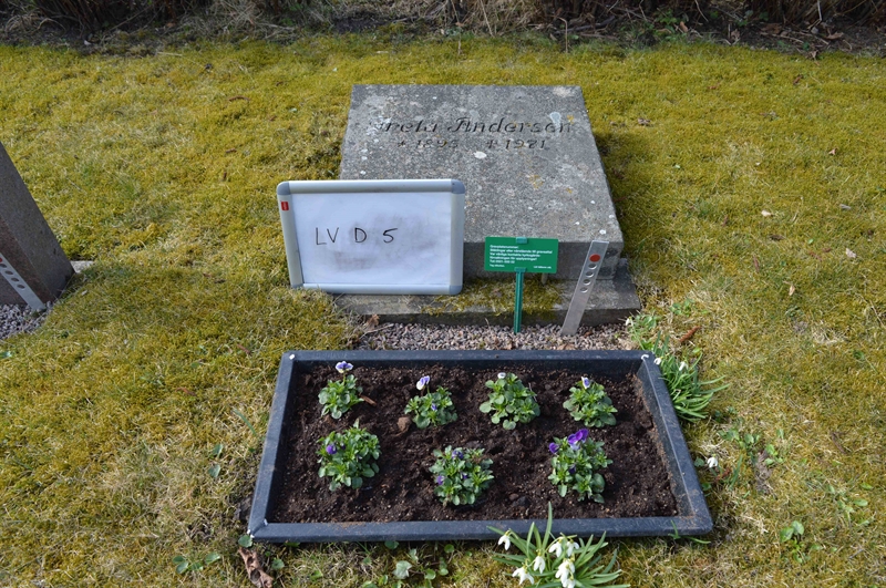 Grave number: LV D     5