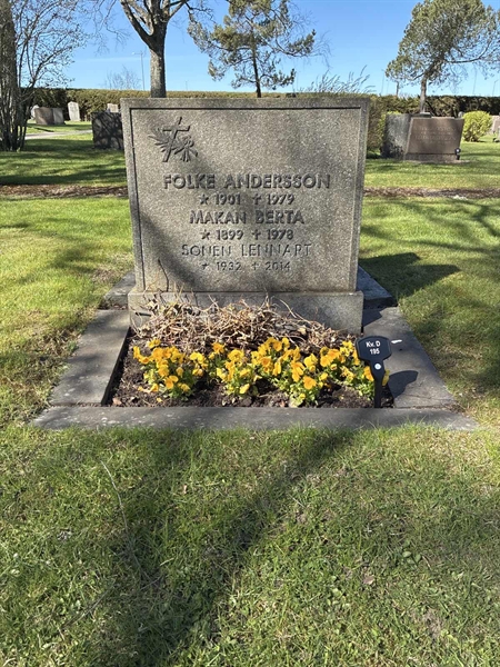 Gravnummer: 22 D   195