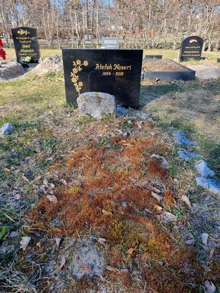 Grave number: 1 35   19