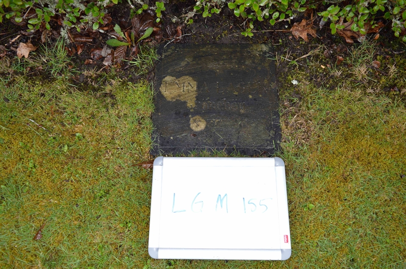 Grave number: LG M   155