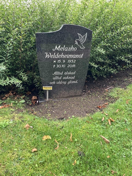 Grave number: Ö 29   140