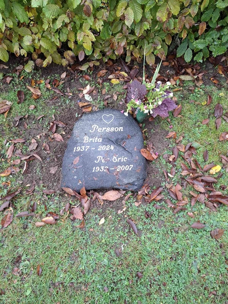 Hautatunnus: HS HS F    50