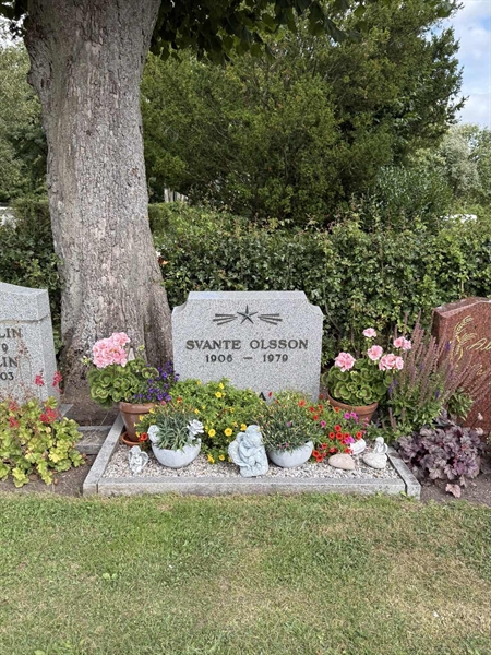 Grave number: ON C   636