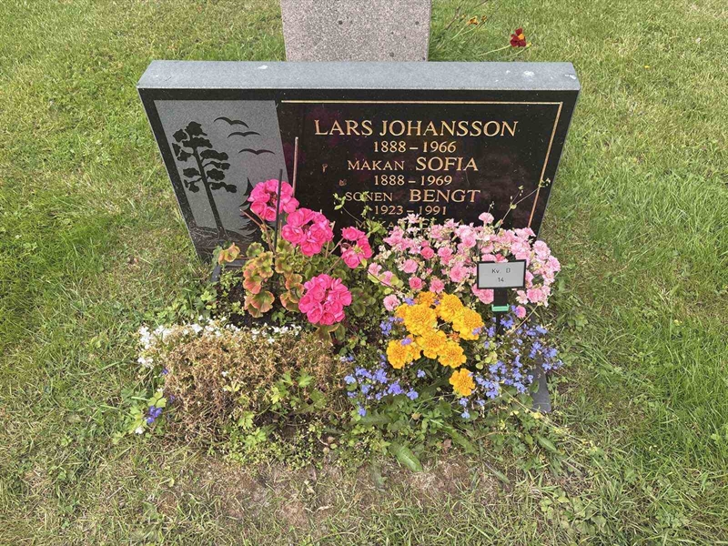Grave number: 003 D    14