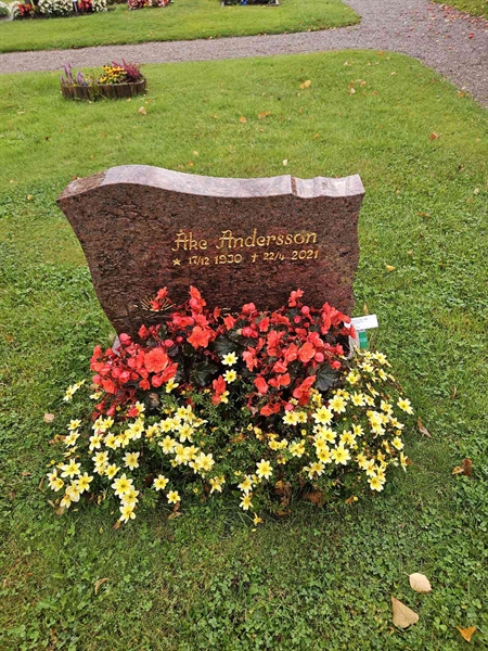 Gravnummer: Fr 1   115-116