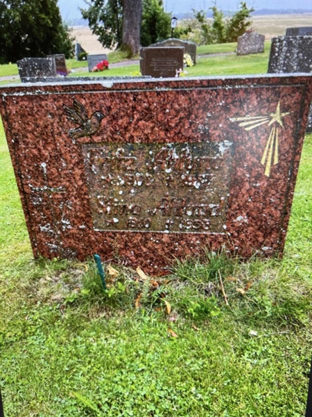 Hautatunnus: 3 B   113-114