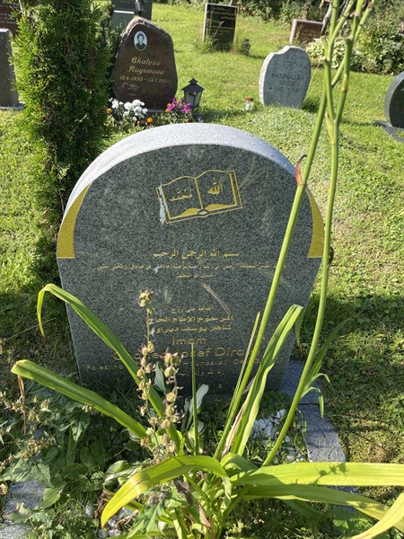 Grave number: 2 06    42