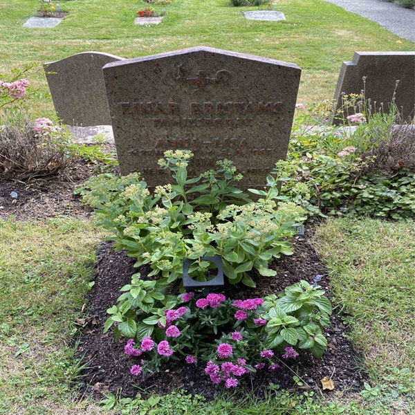 Hautatunnus: 1 T   286