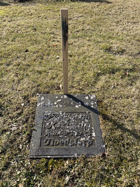 Hautatunnus: 06 08    79