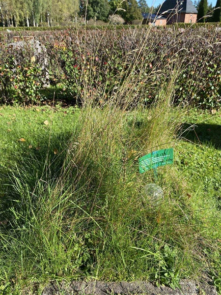 Grave number: 1 22    123