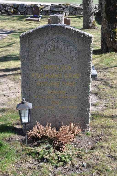 Grave number: ÅL sö    46