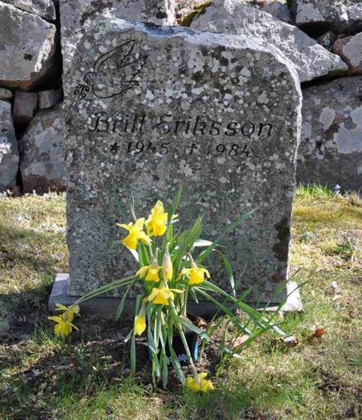 Grave number: ÅL ös    13