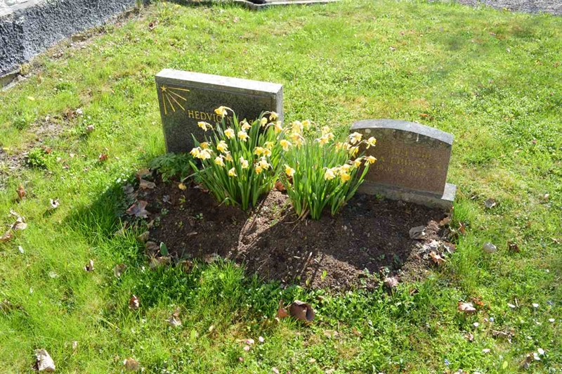 Grave number: ÅL ös    34