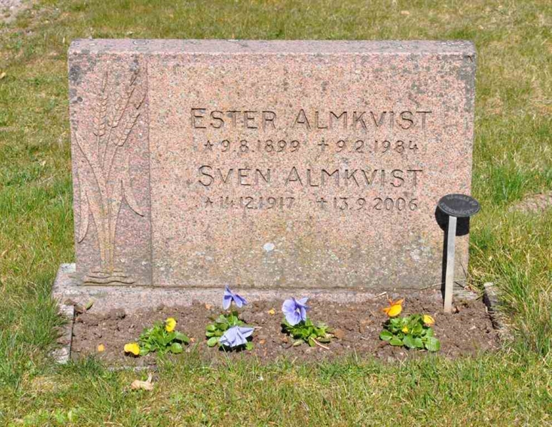 Grave number: S-T Allm   172