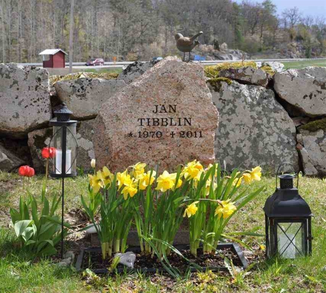 Grave number: ÅL ös     7