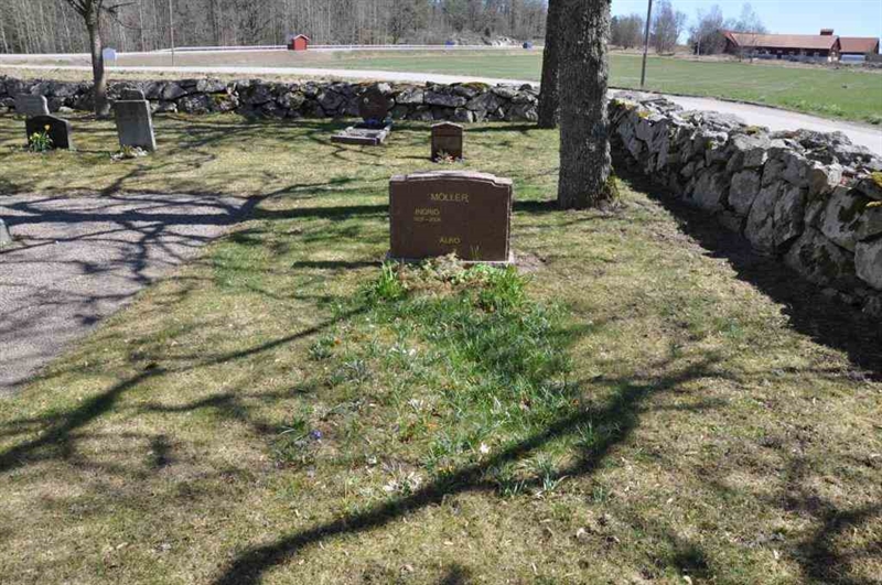 Grave number: ÅL sö    43