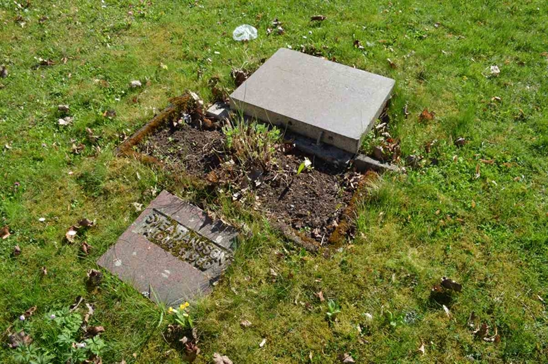 Grave number: ÅL sö    38