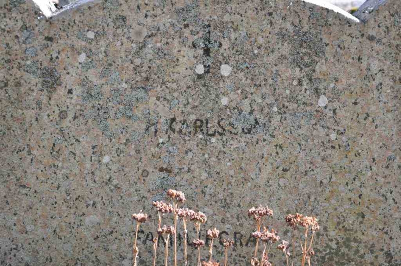 Grave number: ÅL ös    21