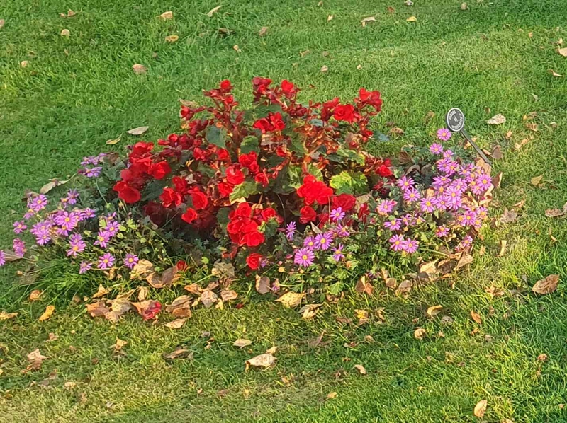 Hautatunnus: 1 Z   108